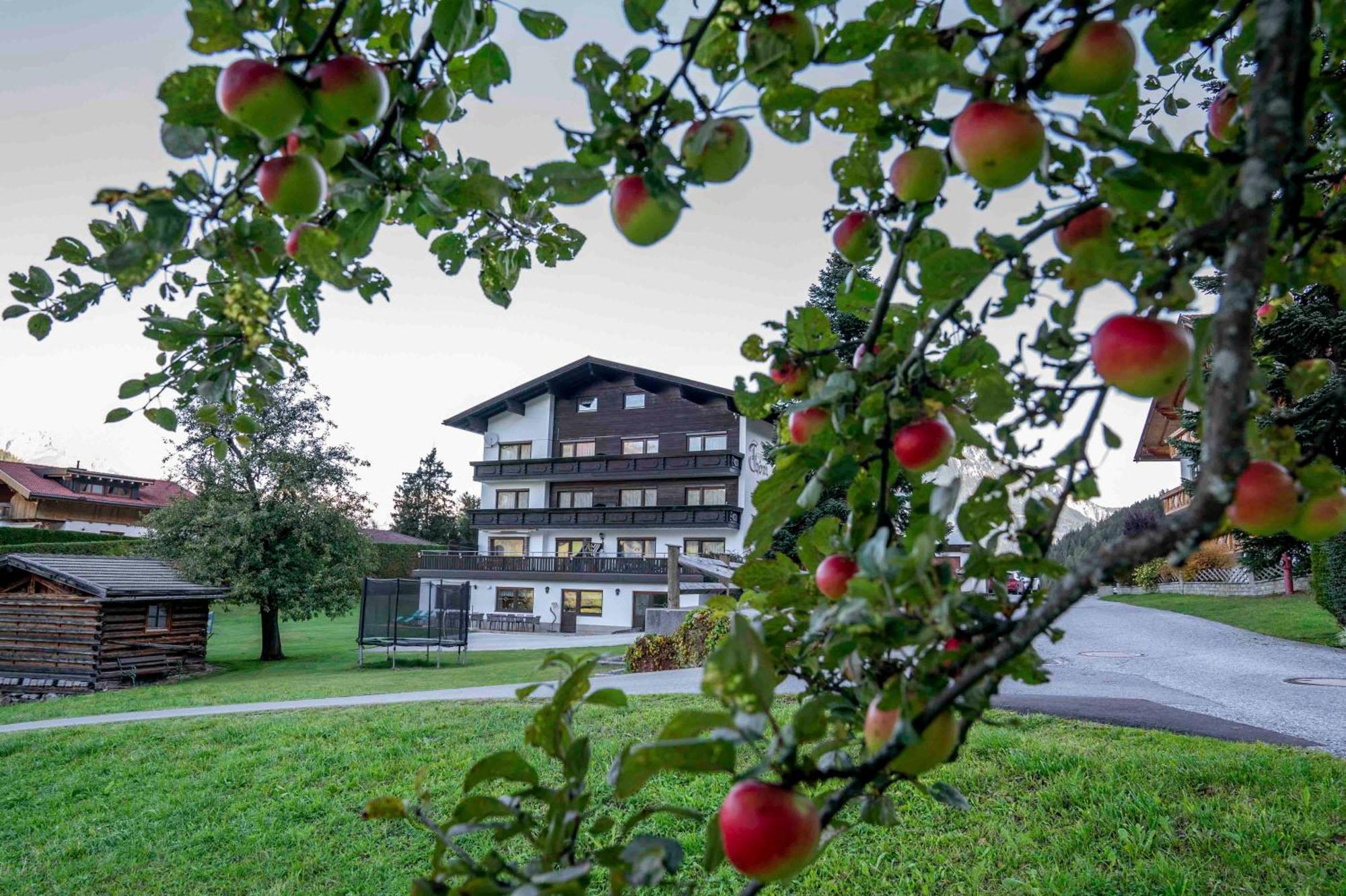 Ferienwohnungen Monja Und Dietmar Thoeni Arzl im Pitztal Eksteriør billede