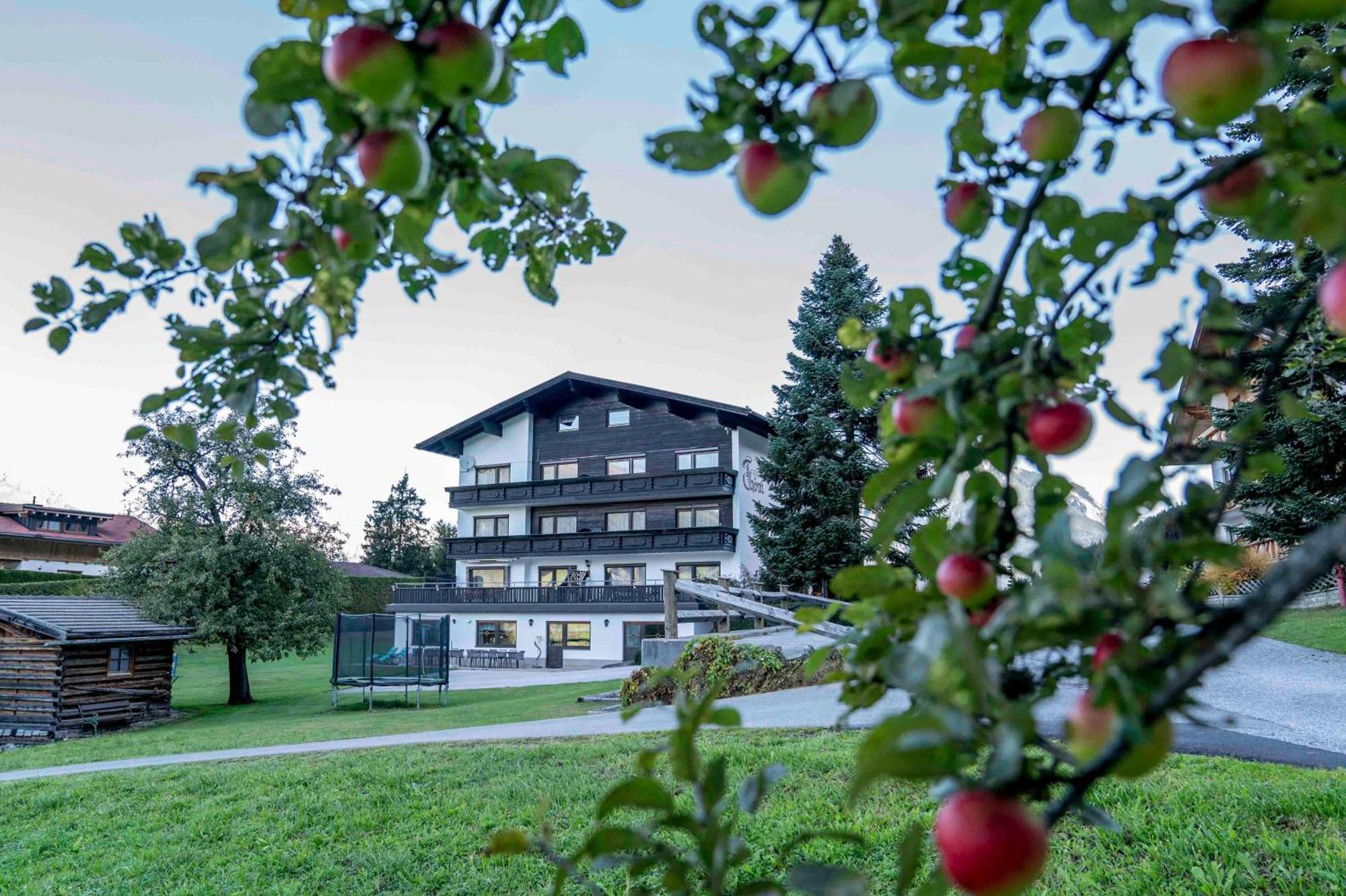 Ferienwohnungen Monja Und Dietmar Thoeni Arzl im Pitztal Eksteriør billede